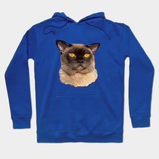 Burmese Cat Hoodie